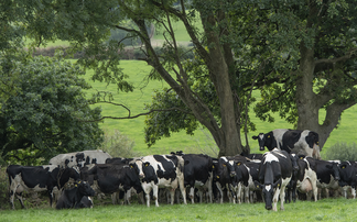 BBC mega farms comments just part of 'prolonged attack' on livestock industry, say farmers