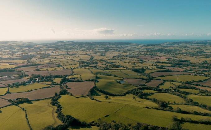 "A thriving natural environment underpins a healthy, prosperous society, that benefits our physical and mental health, feeds us, cleans our air, moderates urban heat, alleviates flooding, absorbs carbon, makes counties like Dorset beautiful and that its survival and diversity is essential to human life. " (Dorset Council)