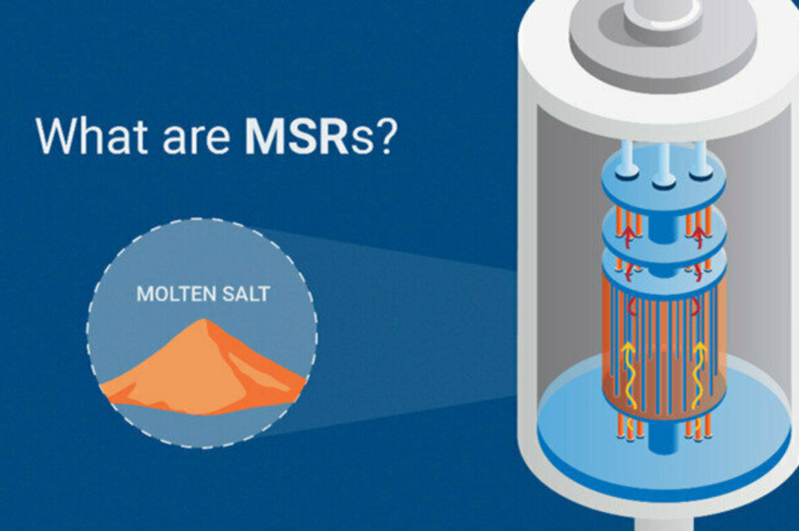 What are Molten Salt Reactors
