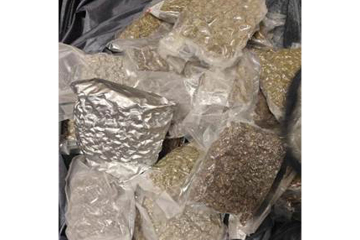DRI continues crackdown on drug trafficking syndicates under 'Operation Weed Out"