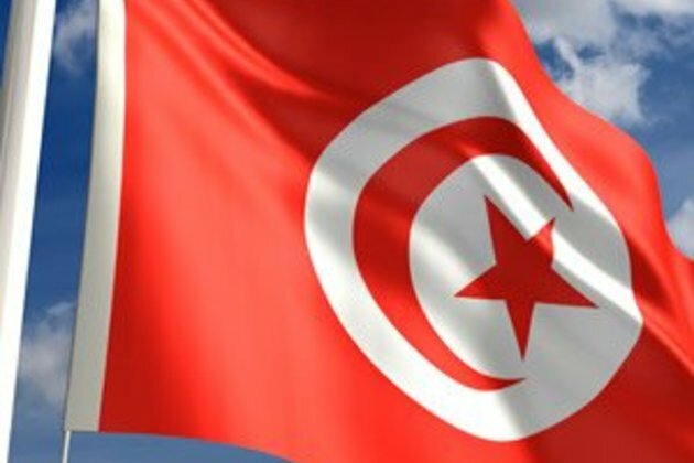 UN demands Tunisia drop charges against arms expert