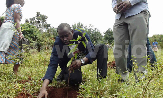 Government partners with Ggoli parish to restore forests Government partners with Ggoli parish to restore forests