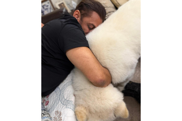 Salman Khan finds "sukh" in quiet moment with furry friend