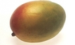 Mangoes ripe for export