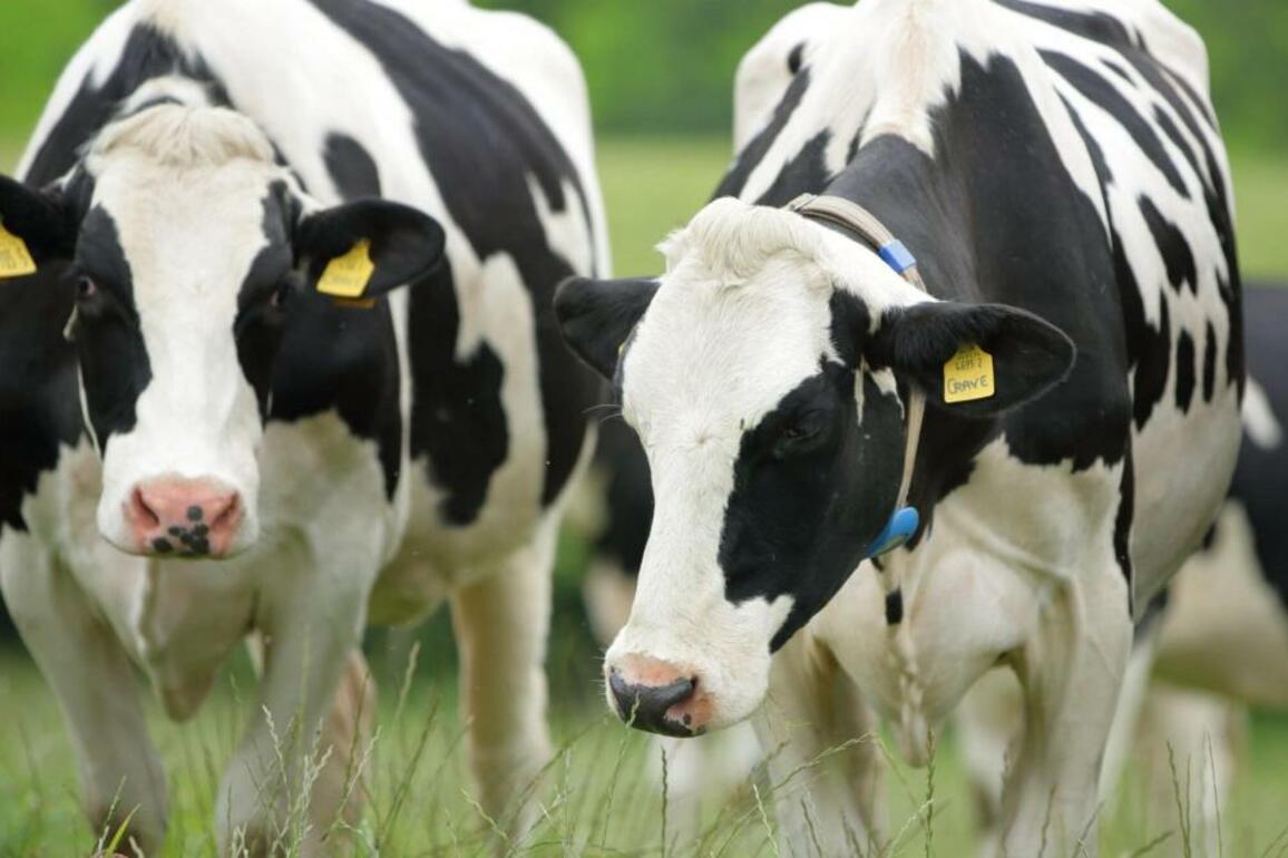 UFU 'not ruling out legal action' over NAP proposals