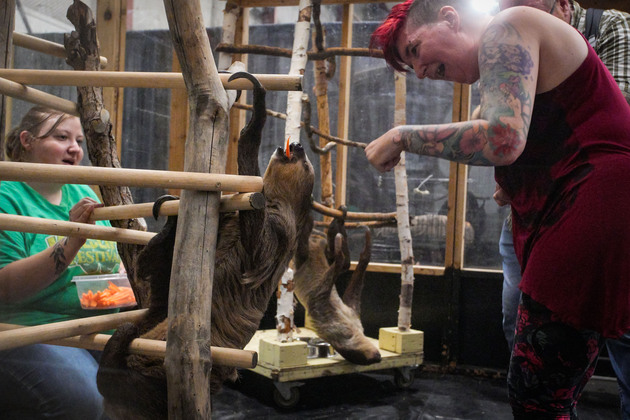 CANADA-ABBOTSFORD-WILDLIFE FESTIVAL