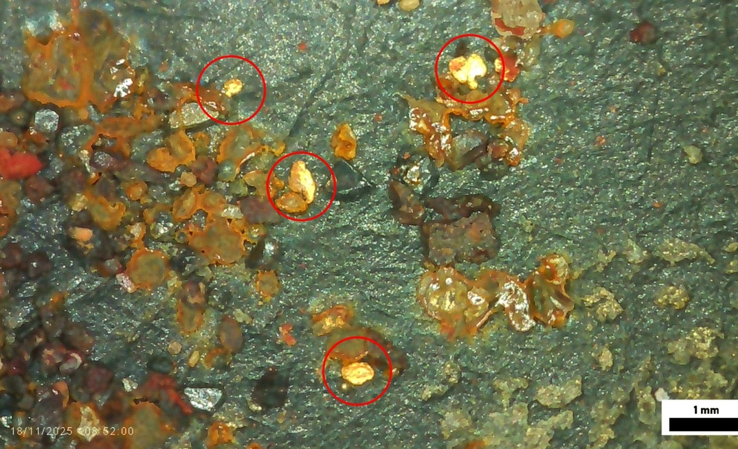 Exploração no projeto Rio Madeira encontra ouro visível