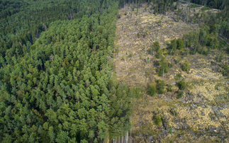 European Commission proposes 12-month delay to landmark deforestation regulation