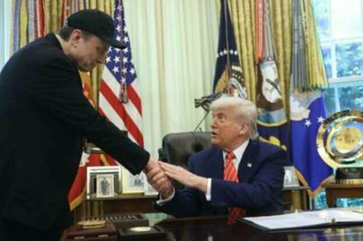 Trump extends olive branch to Musk