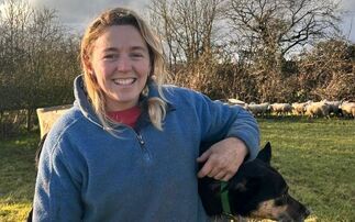 Young Farmer Focus – Sarah Tobin: "After leaving the dairy, I focused on my love for sheep"