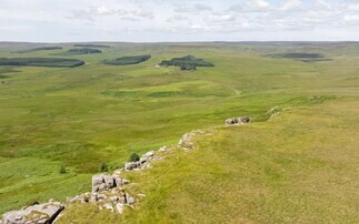 Restore secures 7,500-acre Northumberland estate for nature recovery