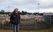 MLA Sheep and Goat Productivity Project manager, Daniel Forwood, said a new project looking at eID productivity will give producers region-specific information into how they can best utilise eID on their enterprise.