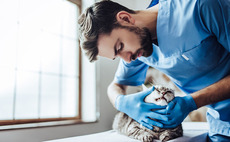 Meridia increases stake in Vetsum