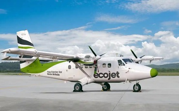 'World first': Dale Vince touts plan for Ecojet electric airline - Vimarsana News