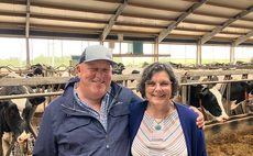 From Northern Ireland to South Dakota: Lessons in building a resilient dairy business