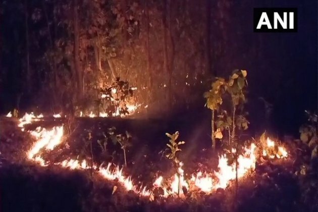 Odisha claims no loss of life in Similipal forest fire
