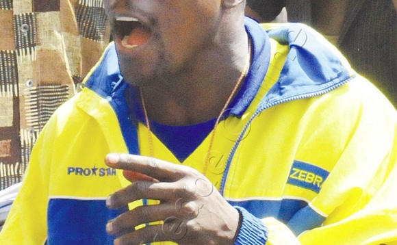 Omugenzi Zebra eyattiddwa mu bukambwe. Omugenzi Zebra eyattiddwa mu bukambwe.