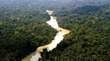 Floresta Nacional Jamanxim, no PA