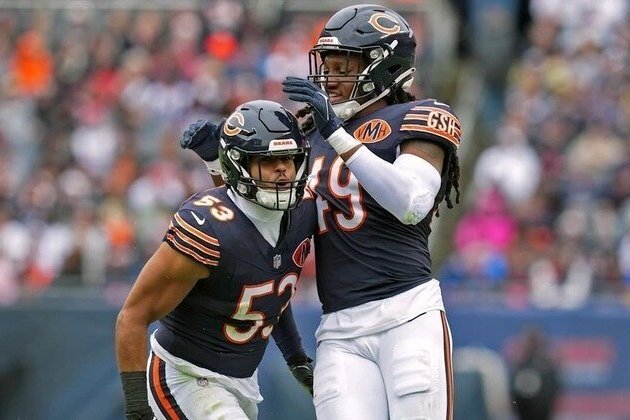 Bears 2025 position review: Linebacker