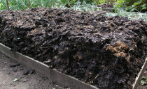 Can biological products cut costs without compromising crop yields?