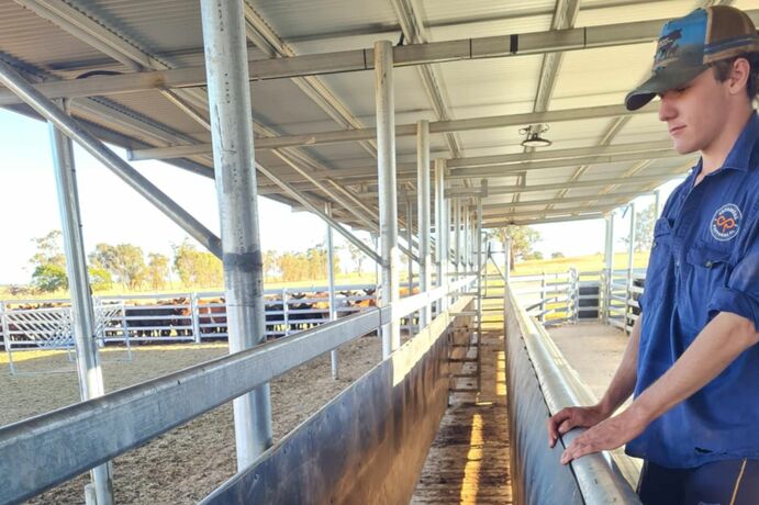Lawson Gulliver's cattle race with full-length catwalk.