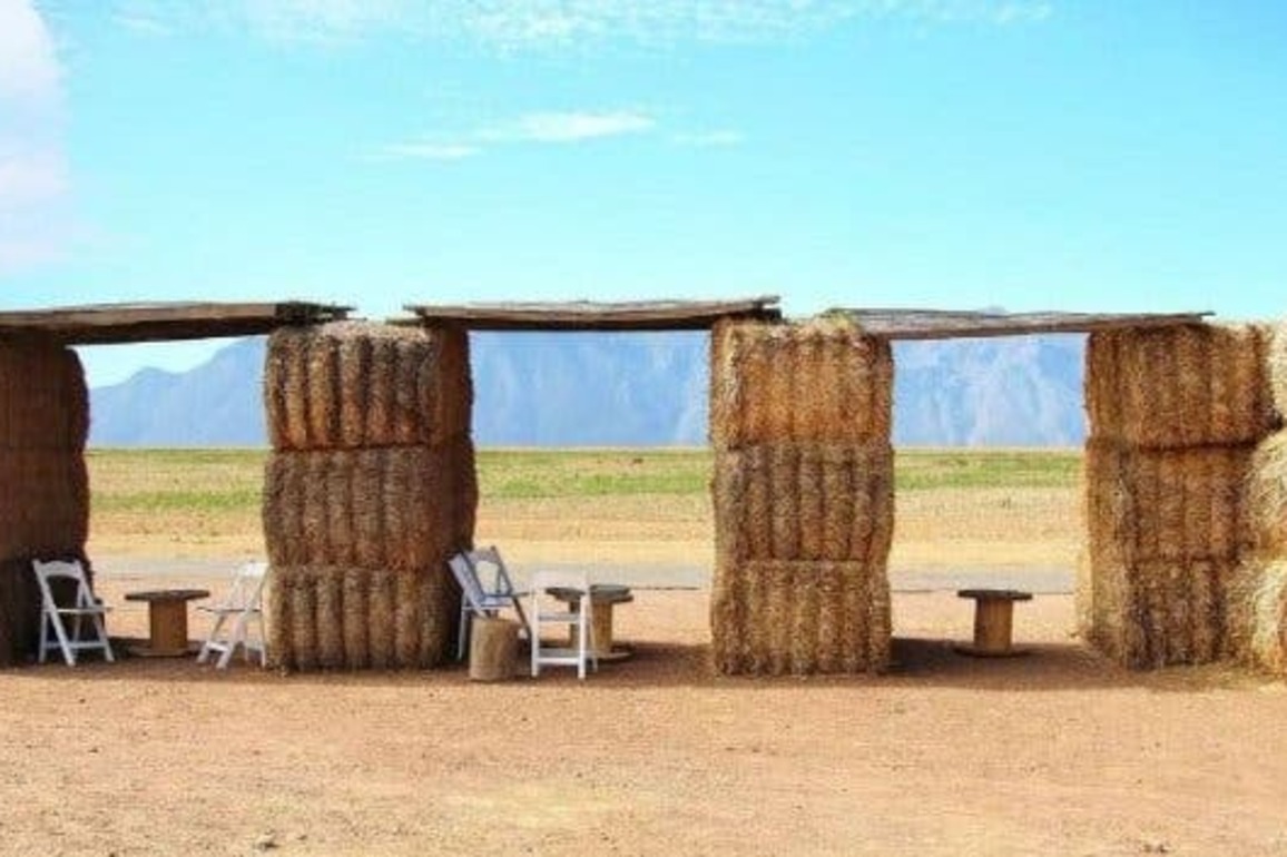 Cape Towns 10 most curious coffee shops