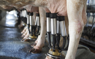 OPINION: As the deadline looms, all eyes are on dairy contracts