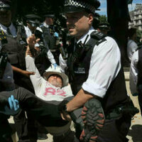 Dozens arrested after UK brands Palestine Action a 'terror group' (VIDEOS)