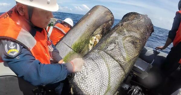 Illegally planted fish traps dismantled by China Coast Guard vessel in South China Sea