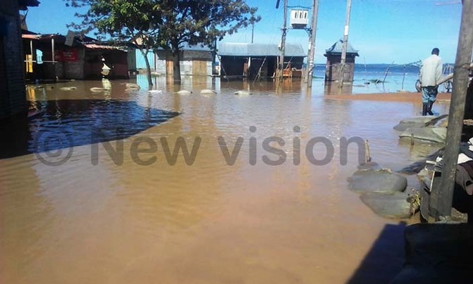 Rising Lake Victoria levels displace thousands of families Rising Lake Victoria levels displace thousands of families