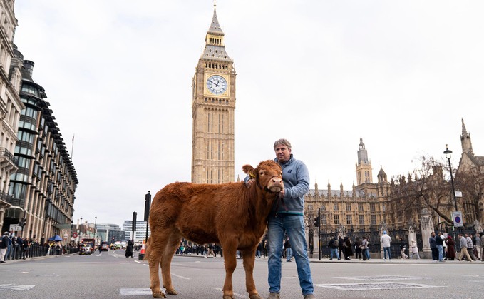 David Passmore with Vicky the cow