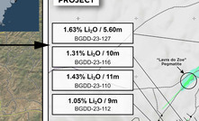  Mapa com projetos de lítio da Lithium Ionic em MG/Reprodução