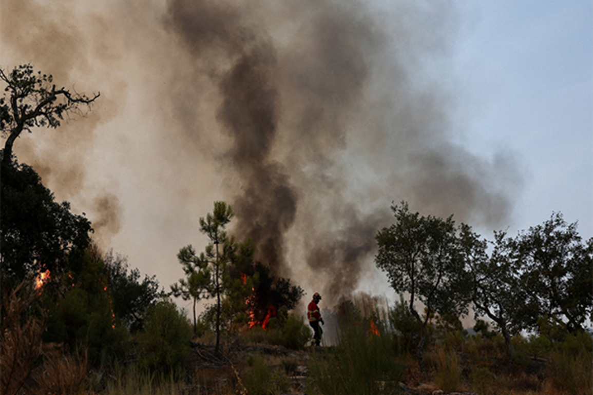 Europe faces record-breaking wildfires as climate change worsens 2025 season