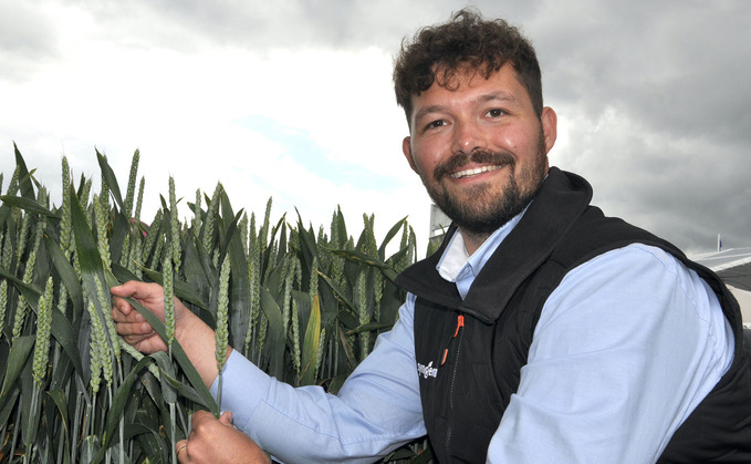 Syngenta seeds technical manager Matthew Bull says SY Cheer’s exceptional grain quality is backed up by consistent yields 