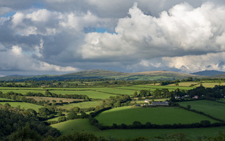 Duchy of Cornwall partners with Regenified to support regenerative farming across estate 