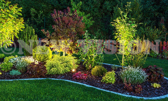 Bring extra glow, cosy feel to your home using garden lights Bring extra glow, cosy feel to your home using garden lights