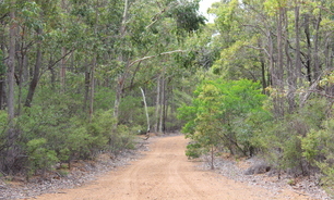 Deep in the Northern Jarrah Forest with Alcoa.