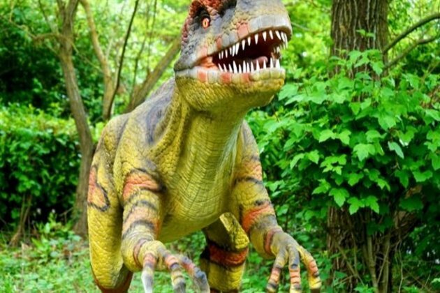 Research suggests early dinosaurs were sociable