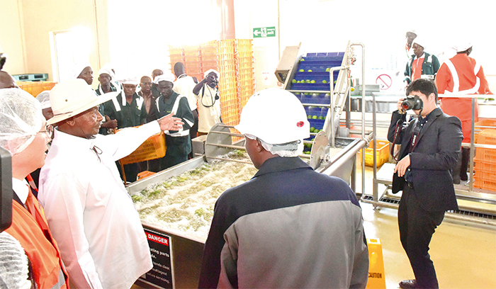 resident oweri useveni is taken on a guided tour of oroti ruit actory shortly after commissioning it in pril ooperatives need to embrace technological advancement and skilled manpower in order to keep afl oat amidst the changing market trends
