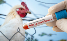 How new bird flu vaccines could help stop one of the worst pandemics in human history