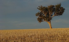 2016 a year of extremes: BOM