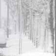 Retailers get ready for snow