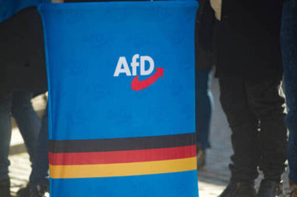 Most popular German party disproportionally targeted by violent attacks