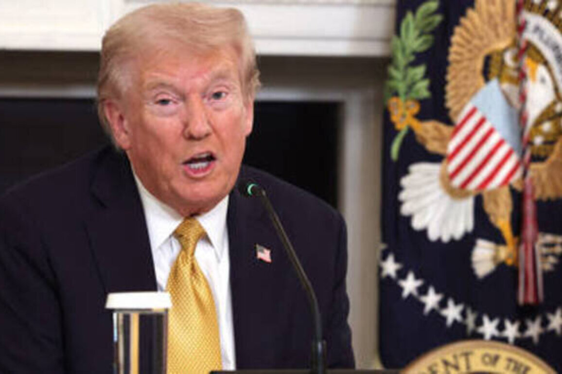 Trump denies allowing Ukraine to launch long-range strikes into Russia
