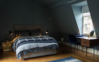 Dulux Trade reveals its 2017 Colour of The Year