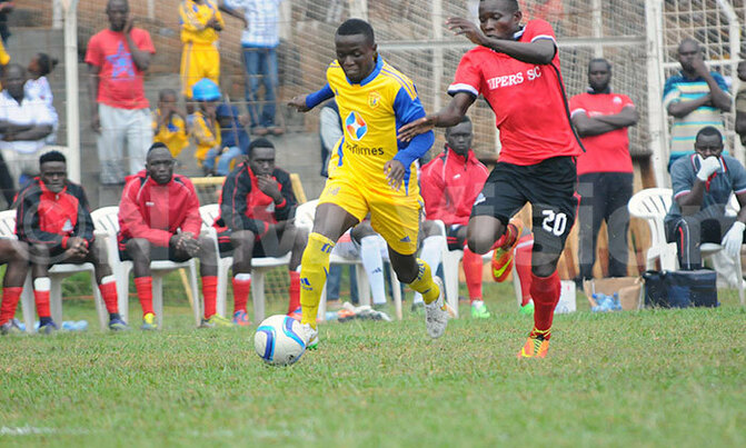 Vipers set for the new season Vipers set for the new season