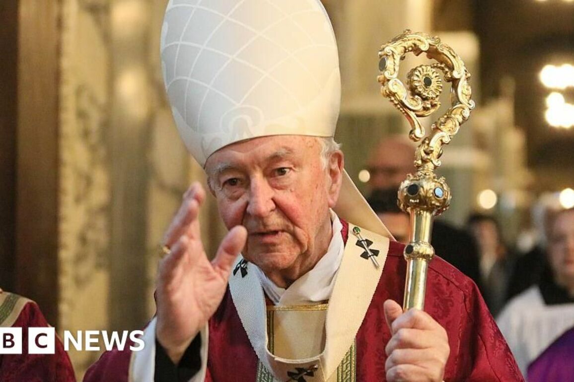 Cardinal reveals what it was like to be part of conclave to choose Pope Leo