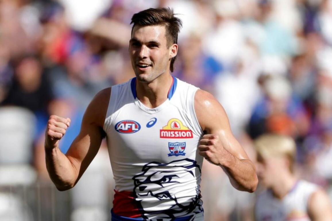 Injured Dogs star Darcy could return this season