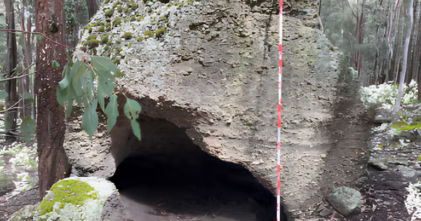 Renewable energy firm destroys Indigenous rock shelter