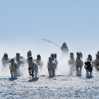 #CHINA-INNER MONGOLIA-XILINHOT CITY-HORSE TRAINING (CN)